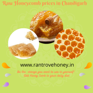 Raw honeycomb prices in Chandigarh