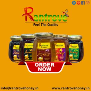 Best neem honey in Chandigarh