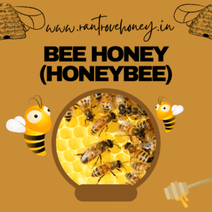 Honey bee