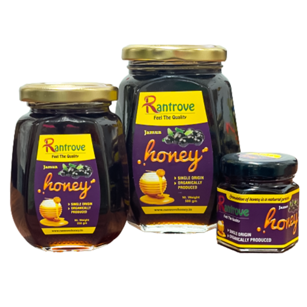 Why honey is a good source of energy?