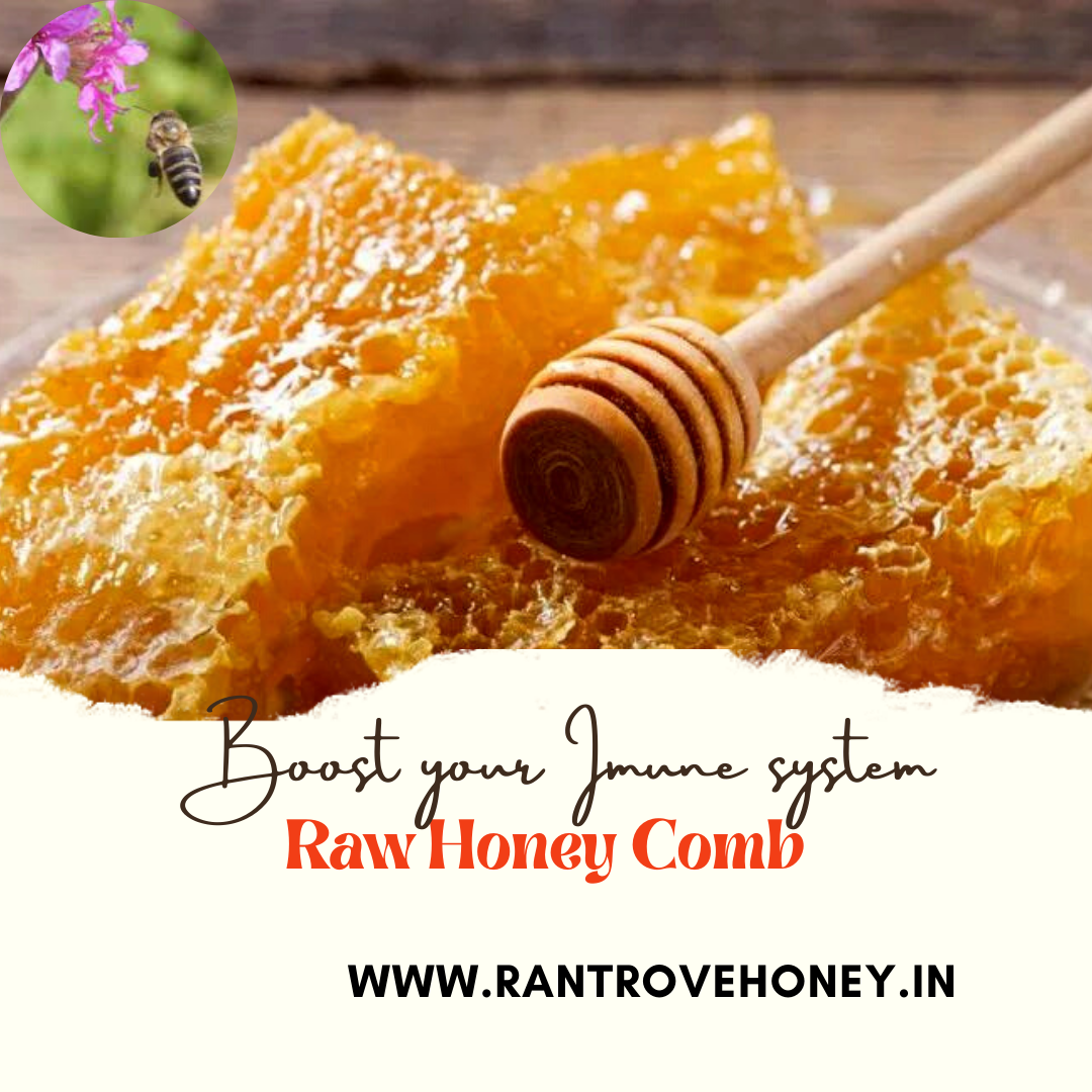 Raw honeycomb prices in Chandigarh