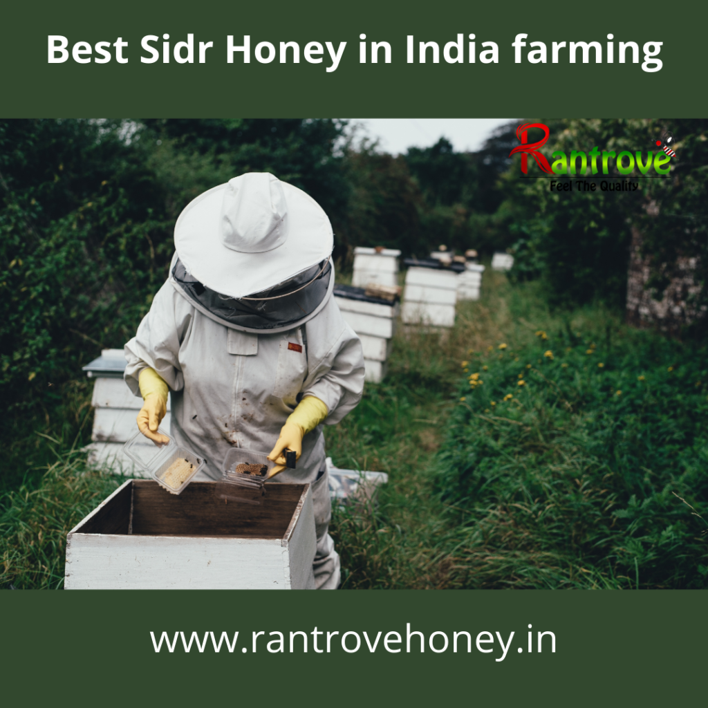 Best Sidr Honey in India